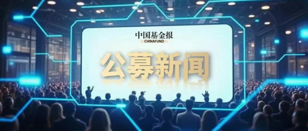 爆款基金扎堆宣布：停牌一小时